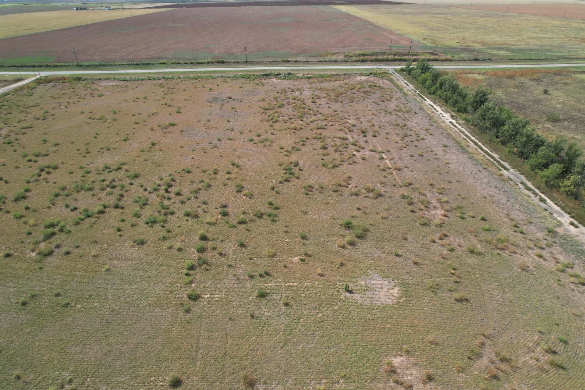 132.82 acres in Randall County gallery image 2