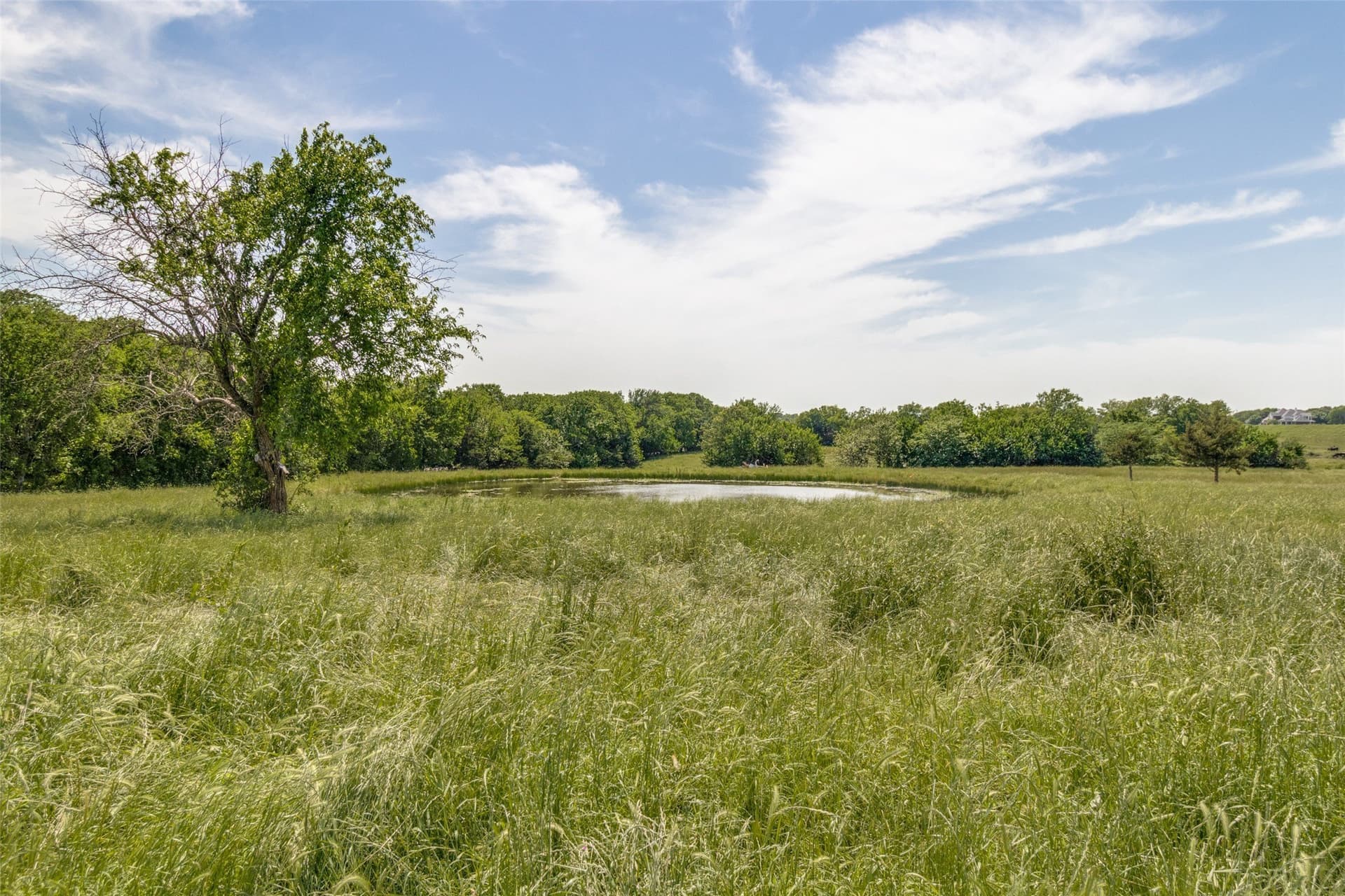 27 acres in Collin County