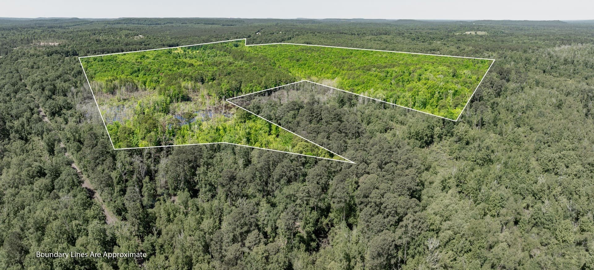 202.83 acres in Upshur County - photo 25