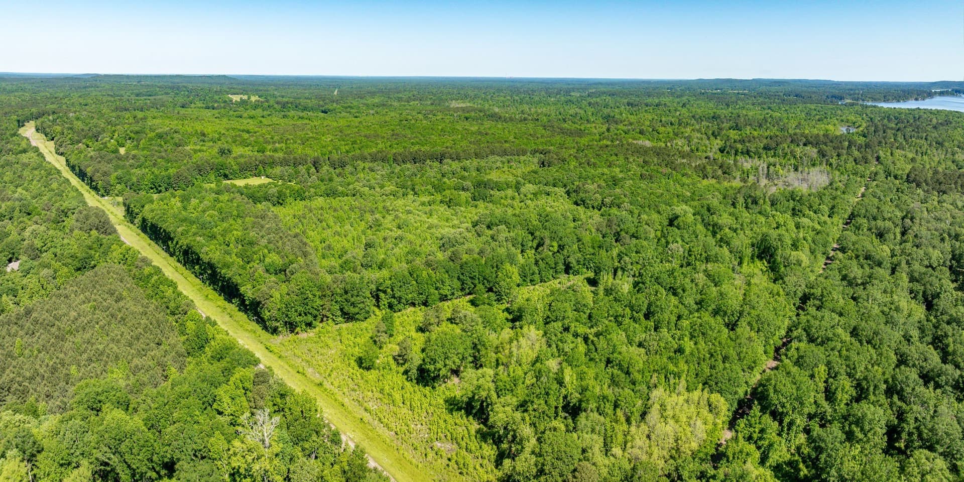 202.83 acres in Upshur County - photo 16