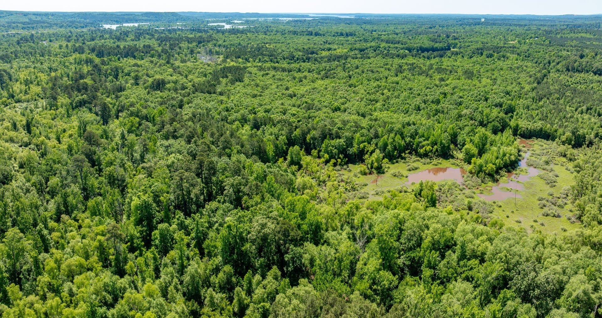 202.83 acres in Upshur County - photo 32
