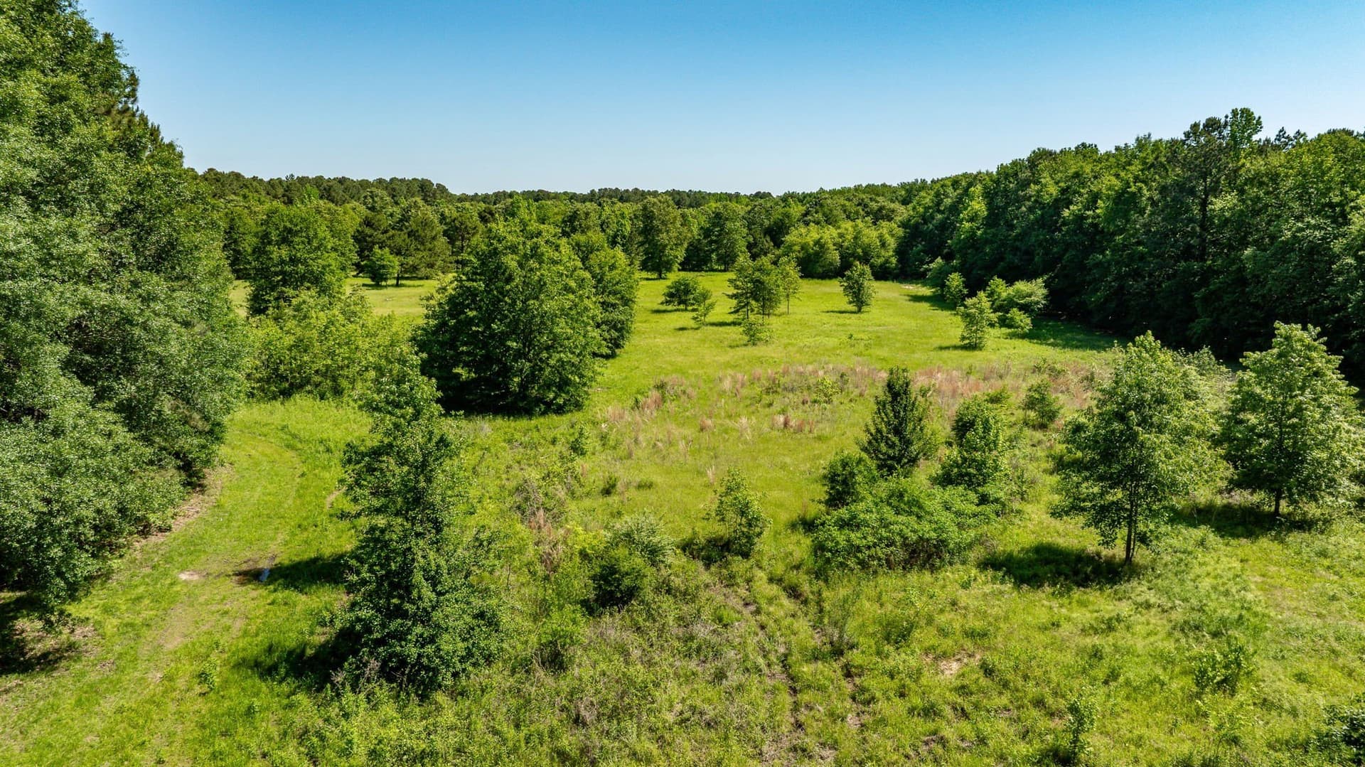 202.83 acres in Upshur County - photo 8