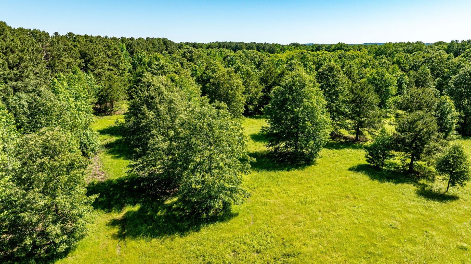 202.83 acres in Upshur County - photo 11