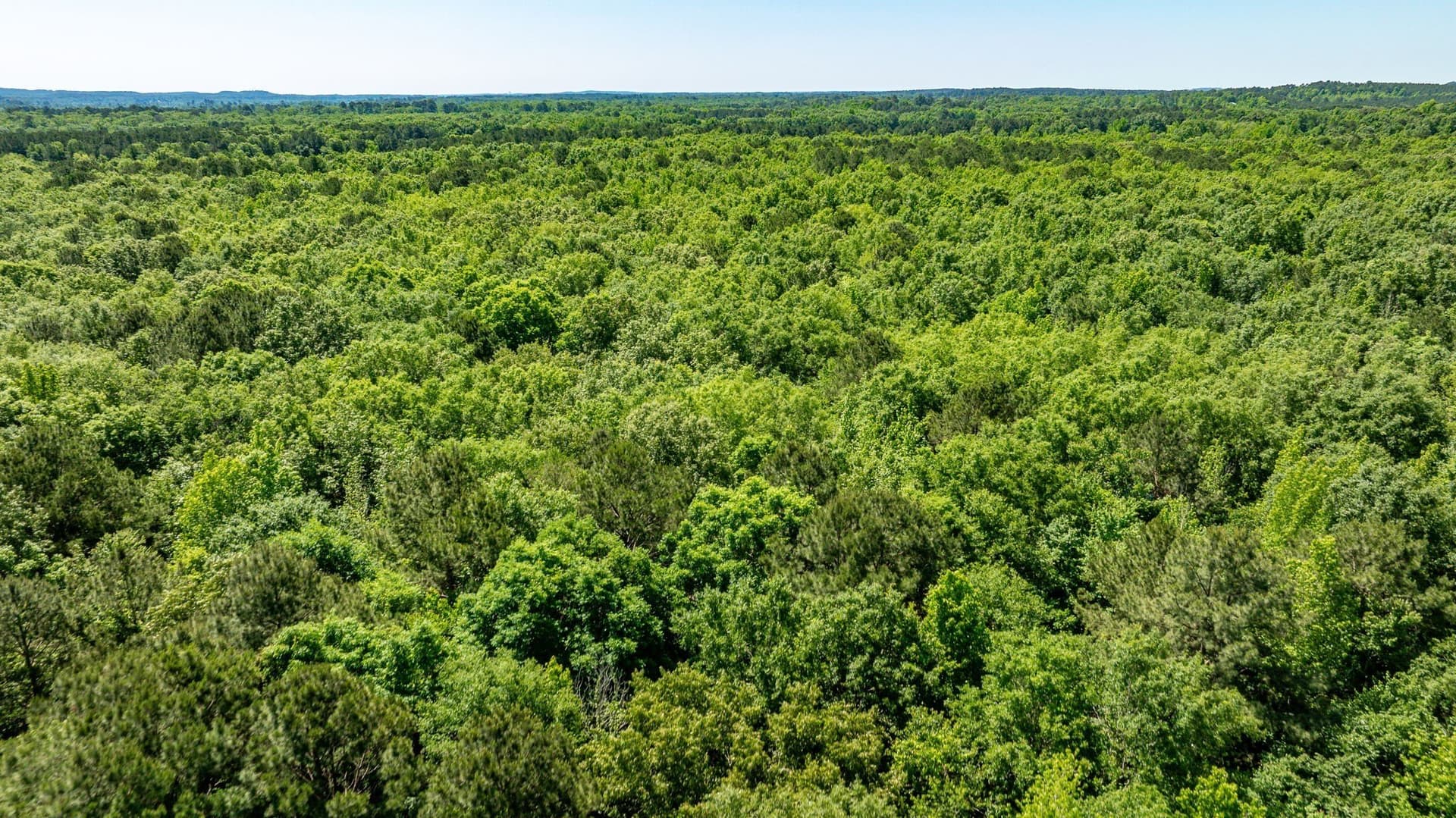 202.83 acres in Upshur County - photo 28