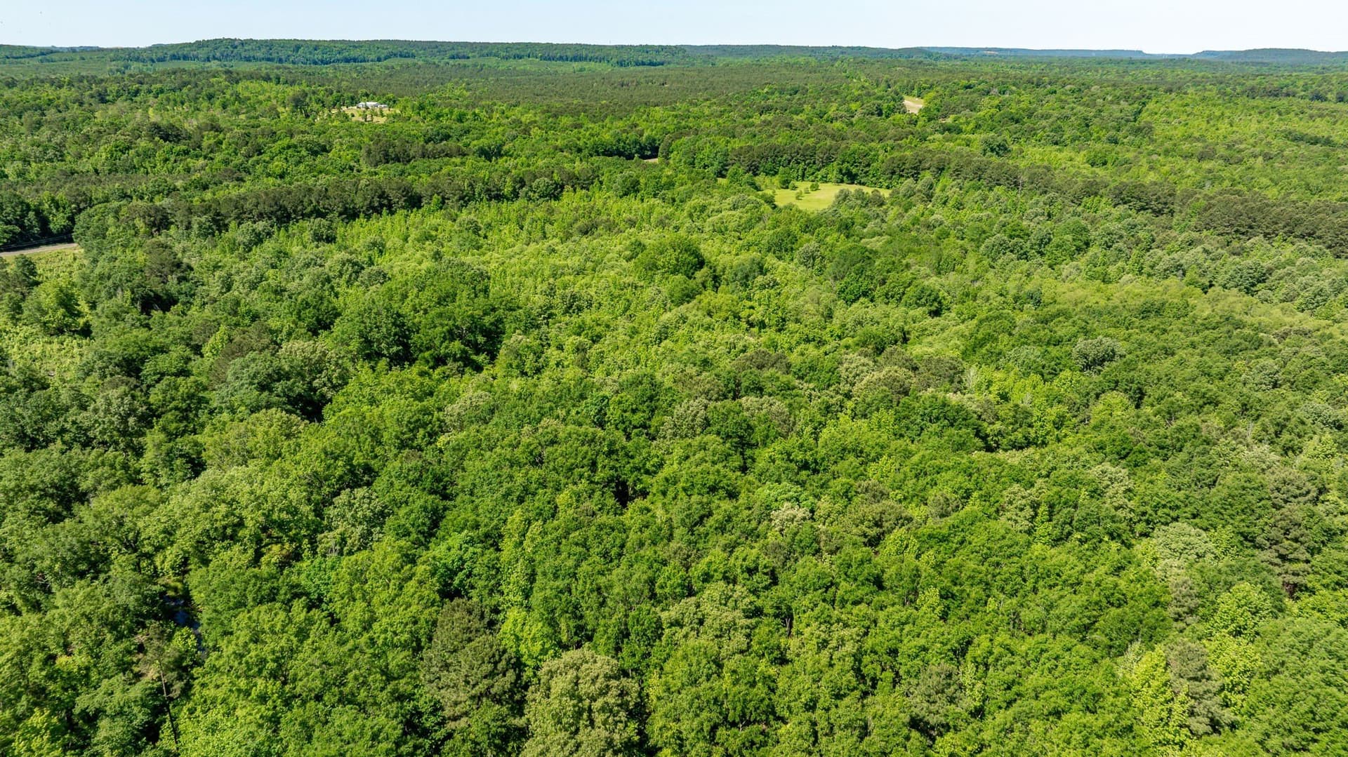 202.83 acres in Upshur County - photo 33