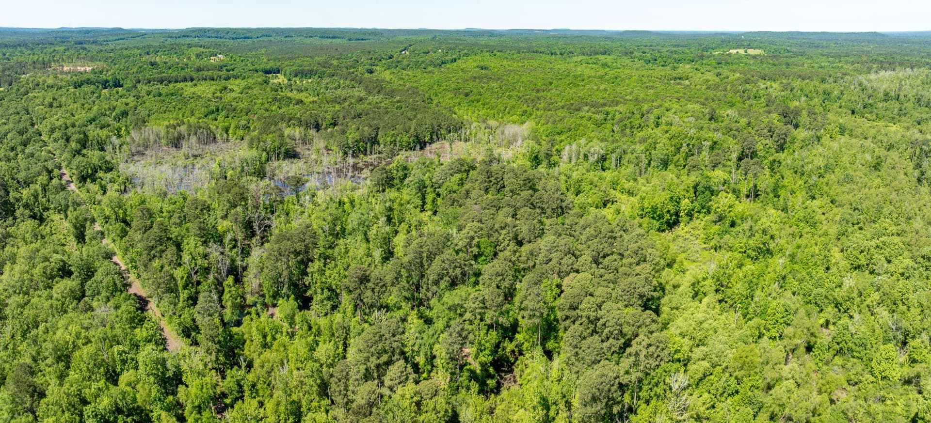 202.83 acres in Upshur County - photo 26