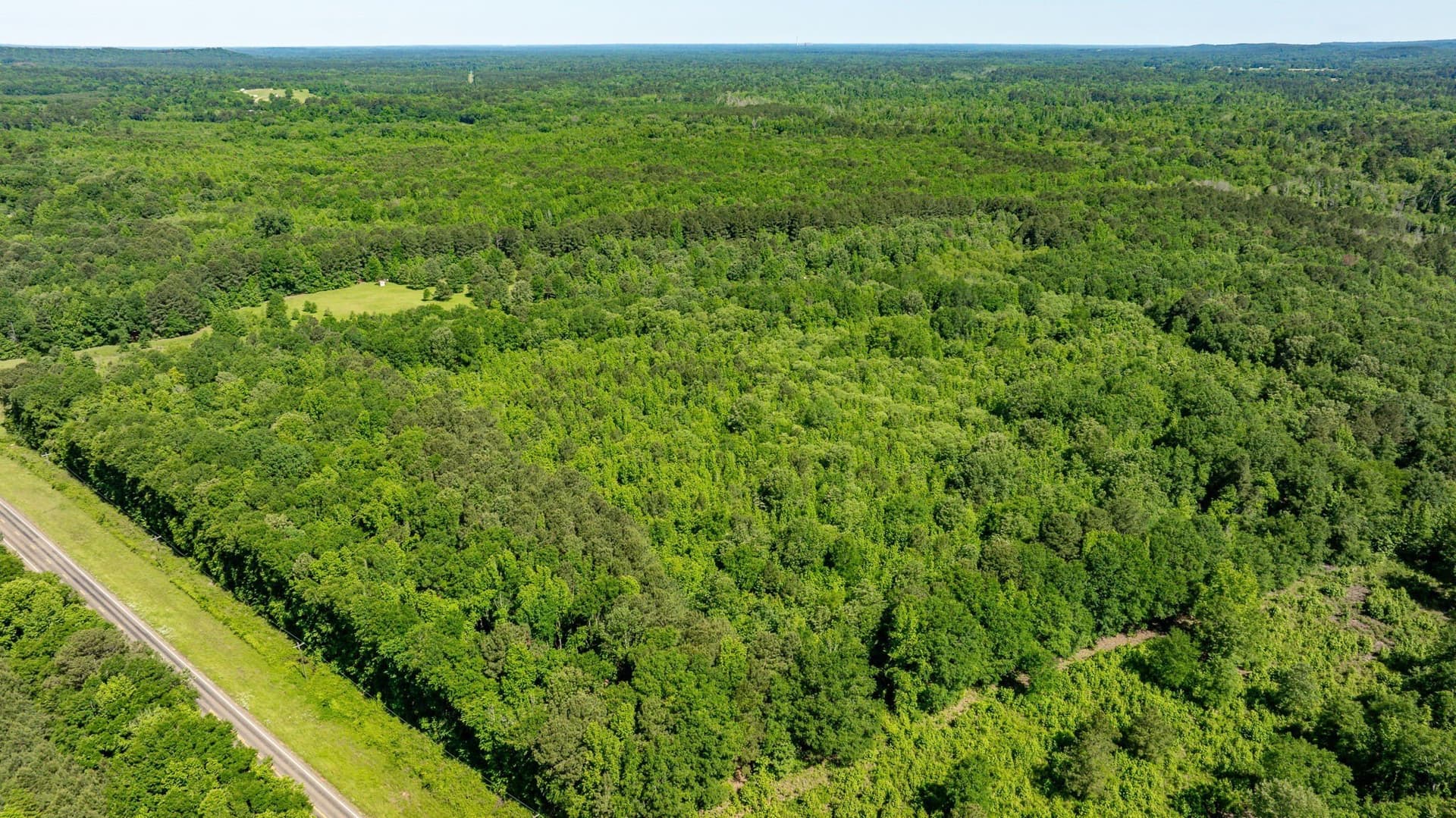 202.83 acres in Upshur County - photo 18