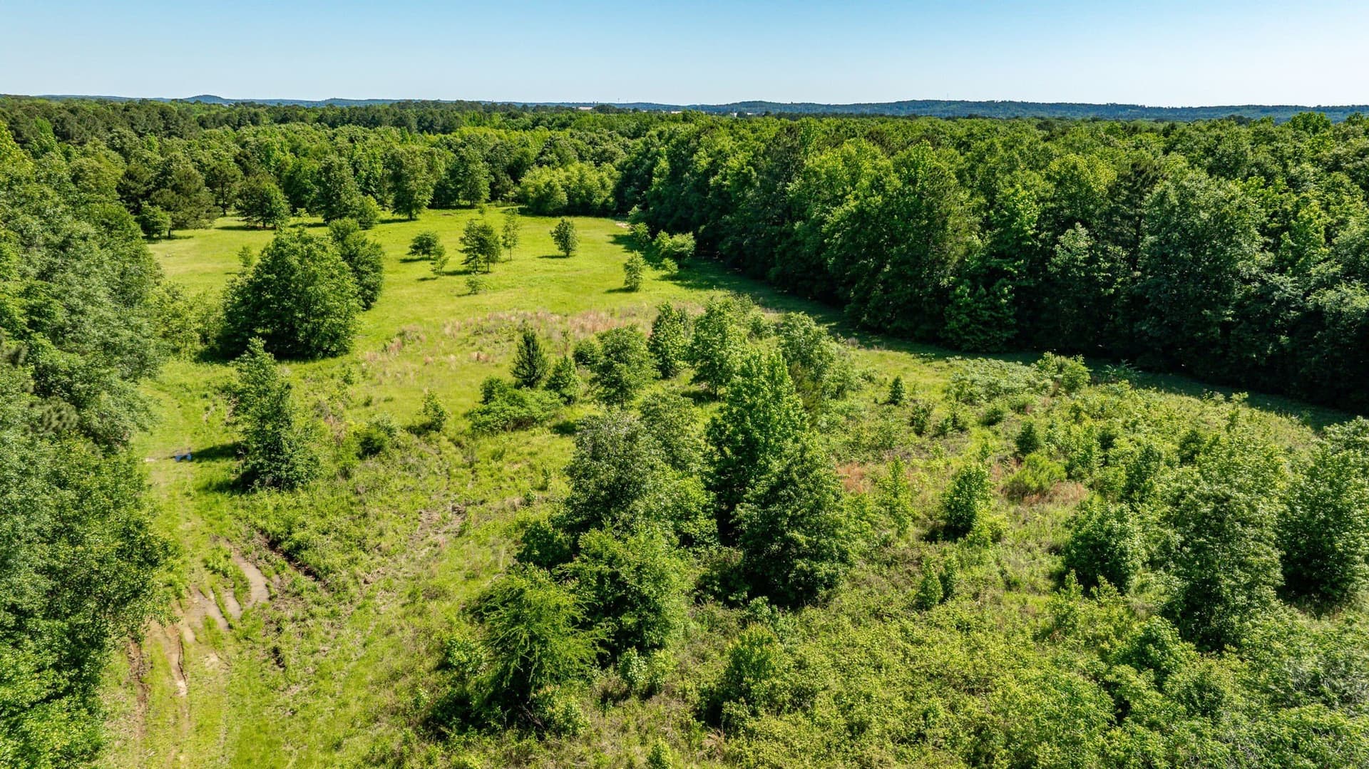 202.83 acres in Upshur County - photo 7