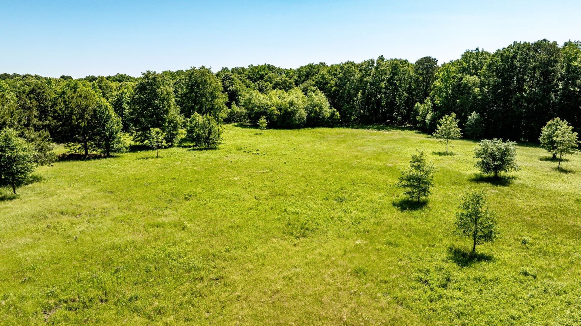 202.83 acres in Upshur County - photo 15