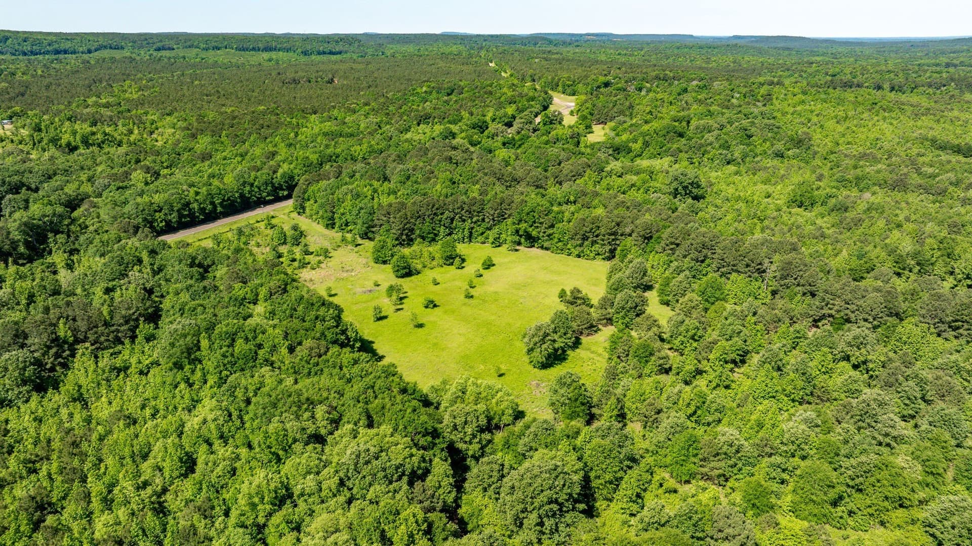 202.83 acres in Upshur County - photo 14