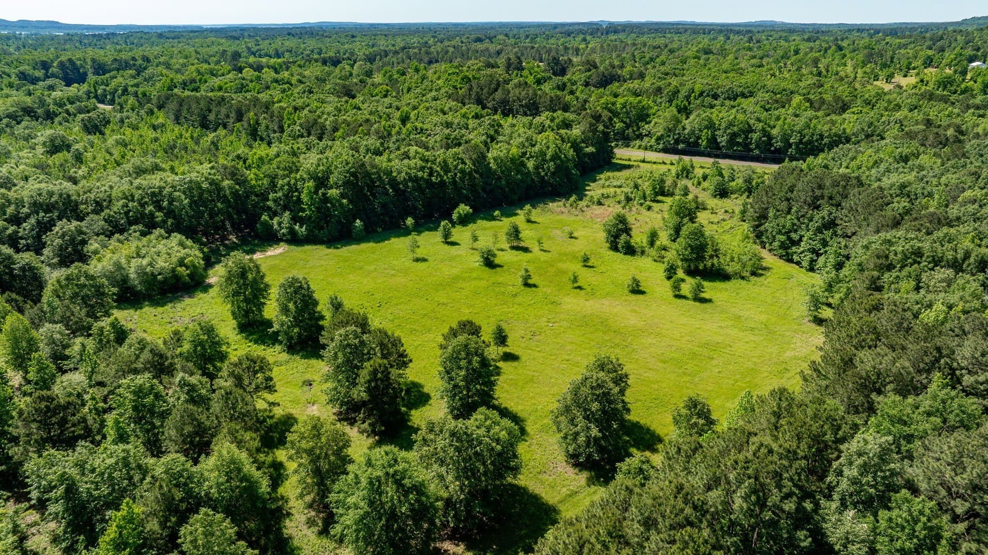 202.83 acres in Upshur County - photo 10