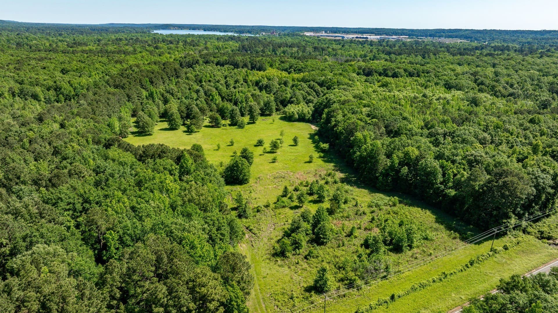 202.83 acres in Upshur County - photo 9