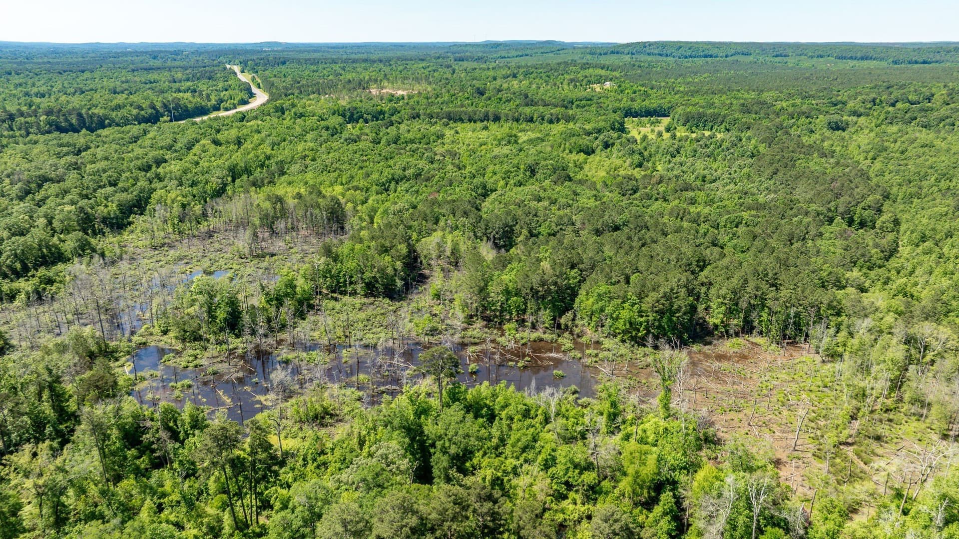 202.83 acres in Upshur County - photo 22