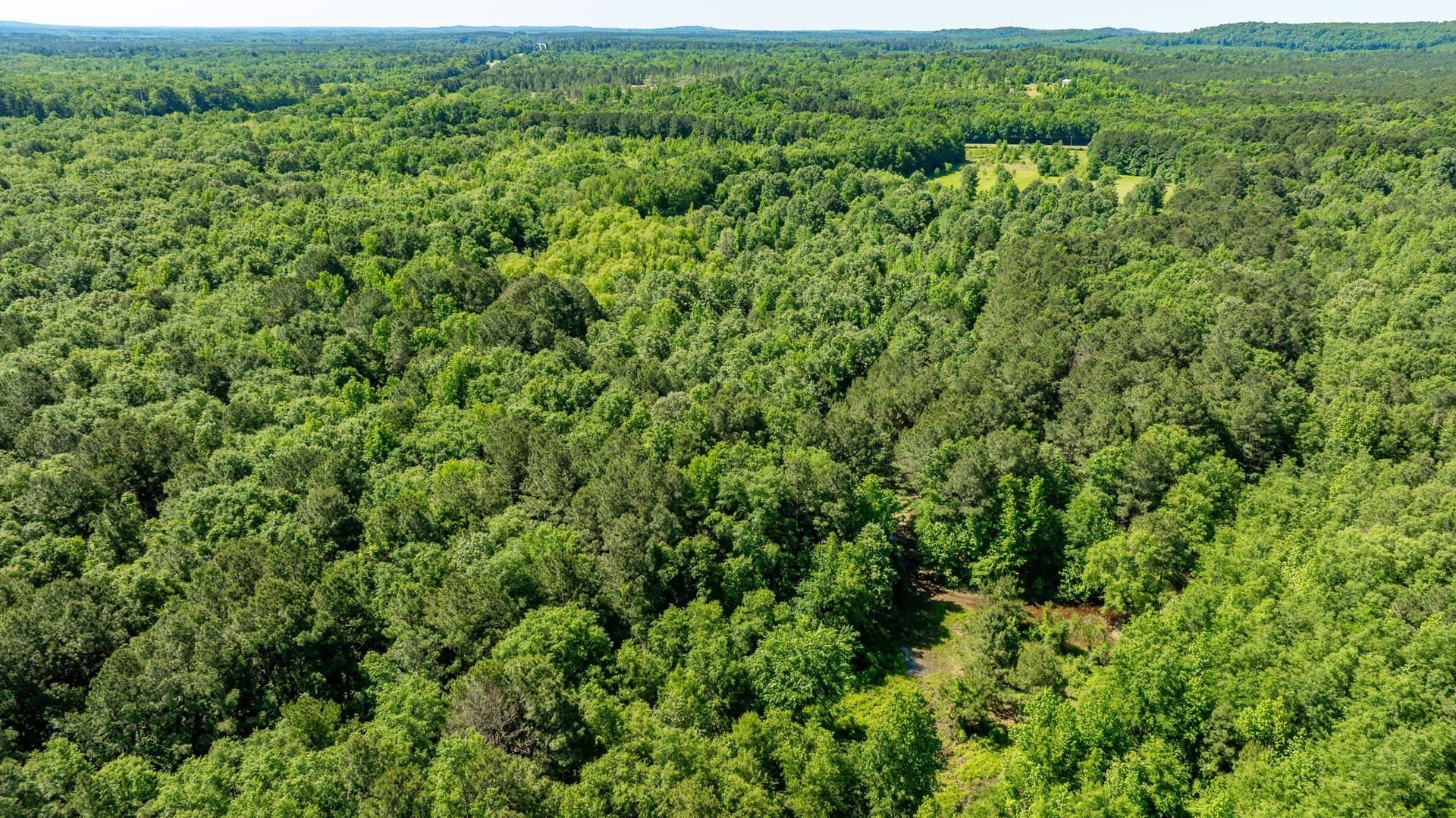 202.83 acres in Upshur County - photo 36