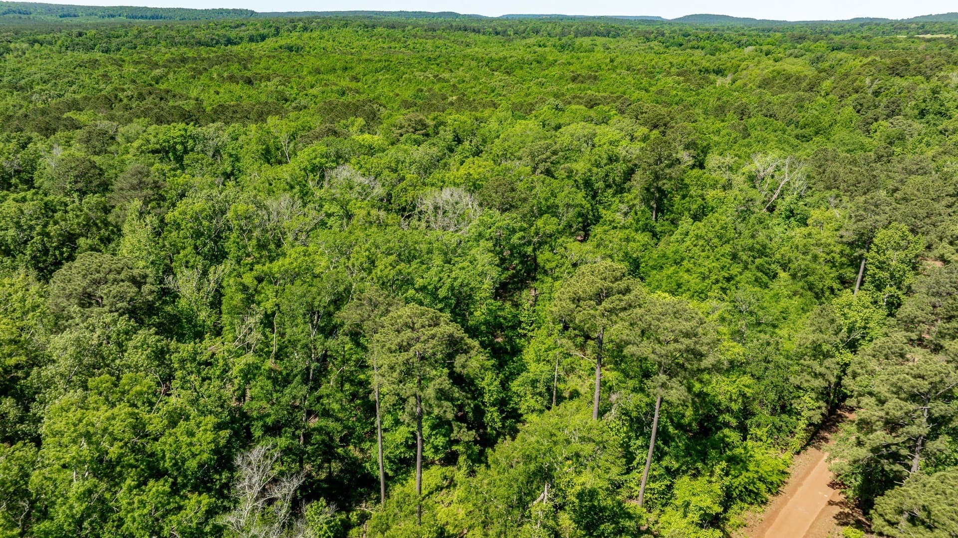 202.83 acres in Upshur County - photo 30