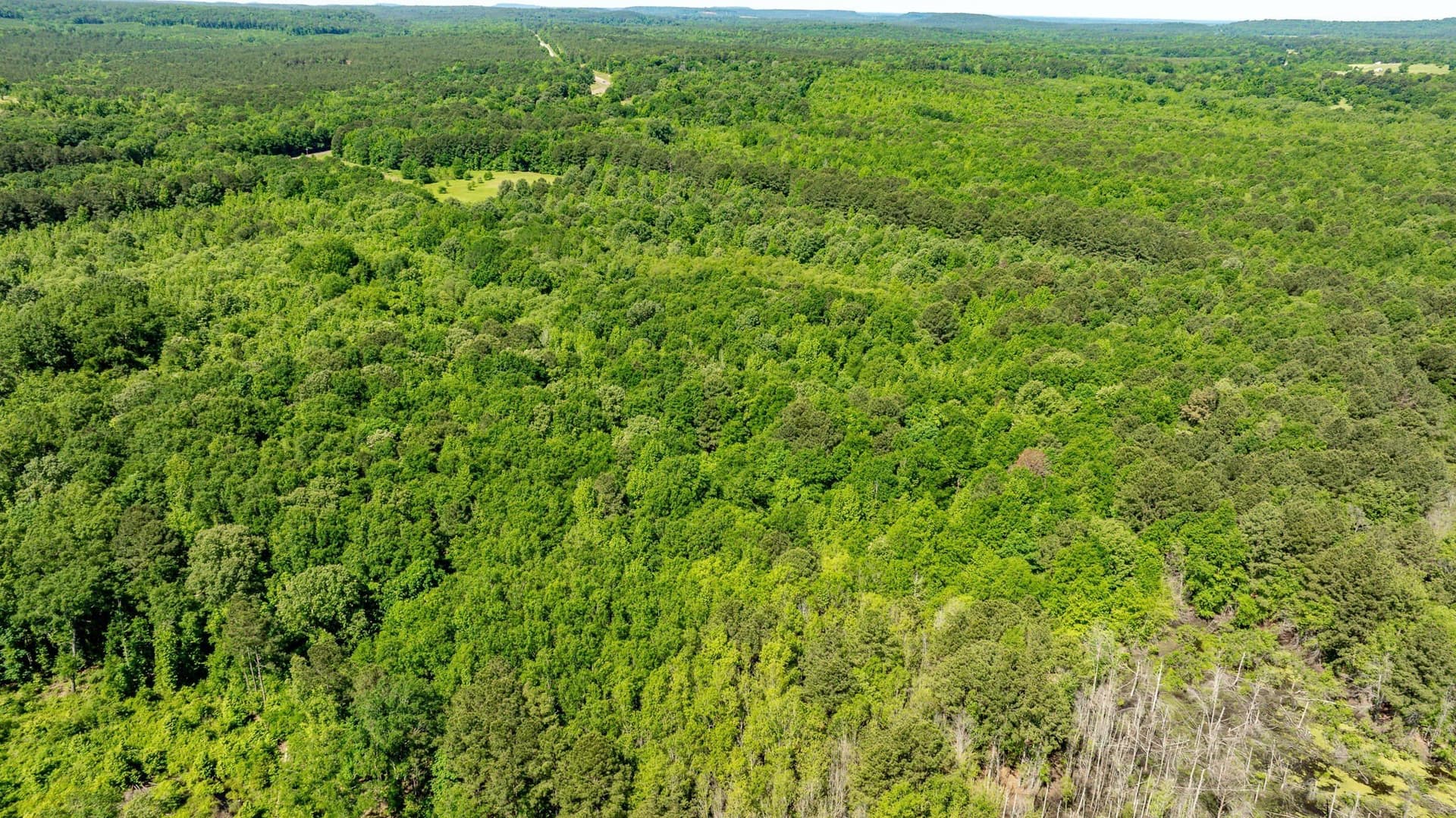 202.83 acres in Upshur County - photo 35
