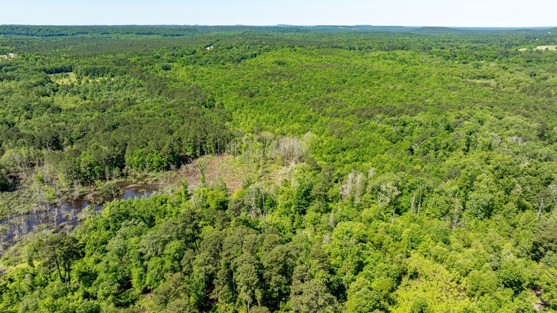 202.83 acres in Upshur County - photo 24