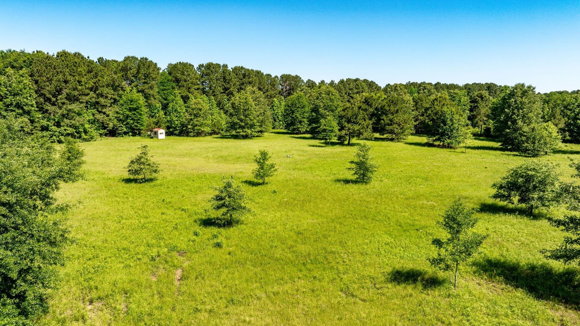 202.83 acres in Upshur County - photo 12