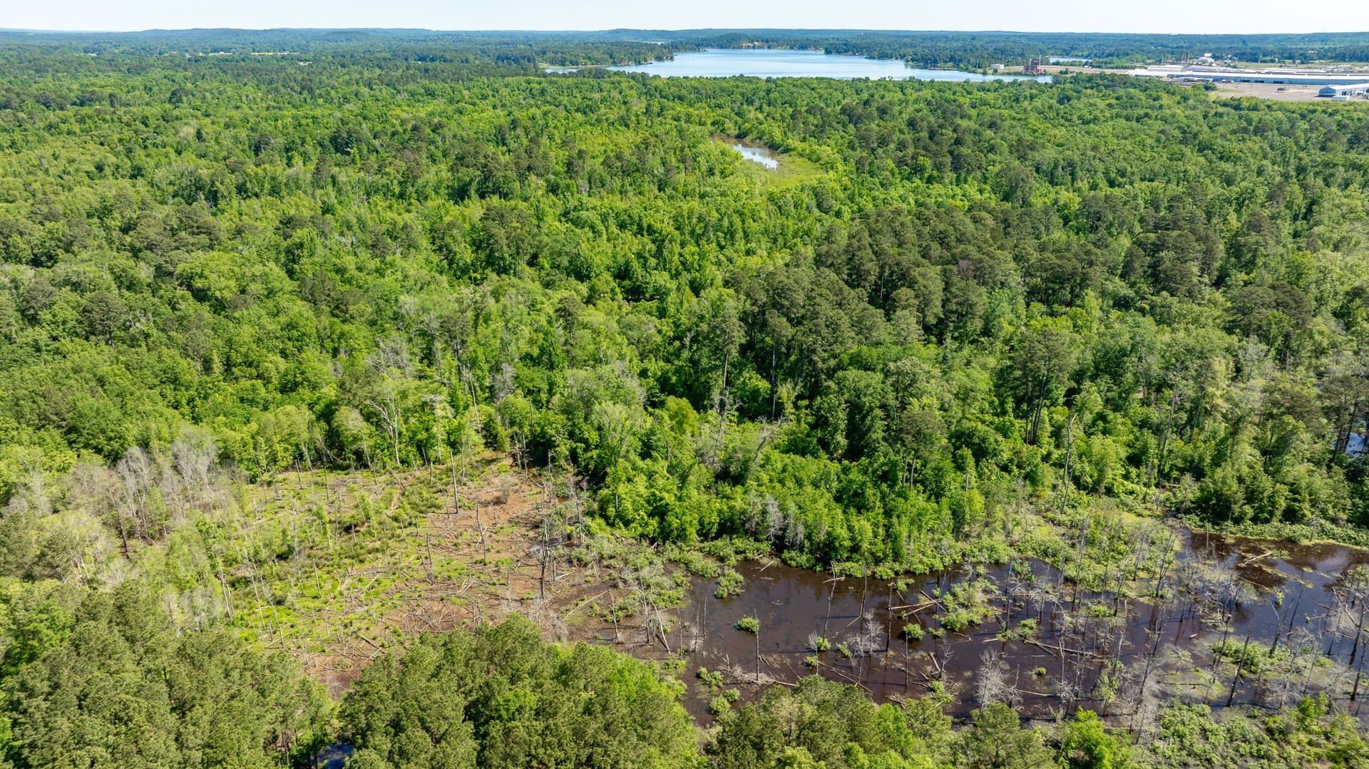 202.83 acres in Upshur County - photo 34