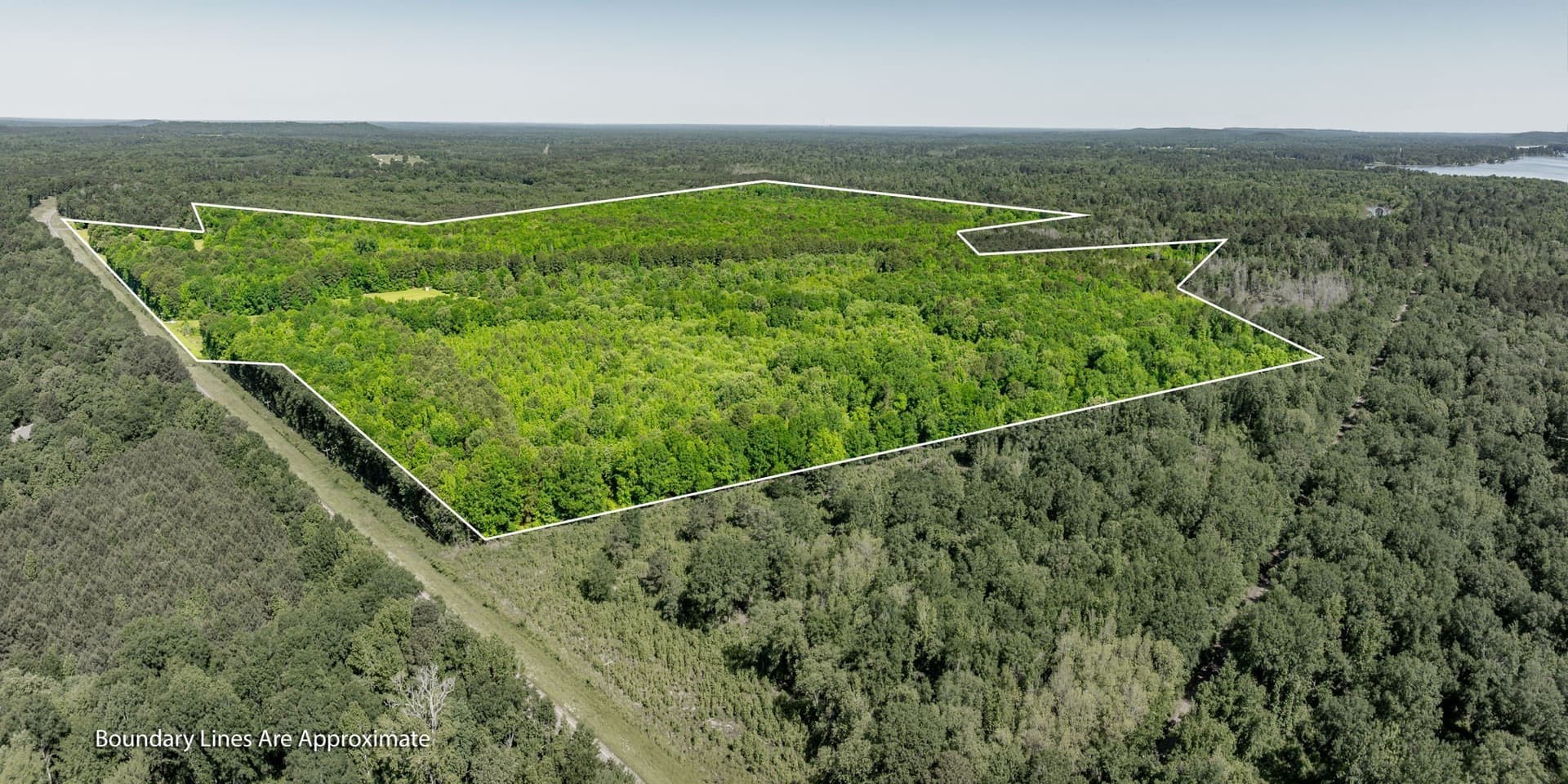 202.83 acres in Upshur County - photo 17
