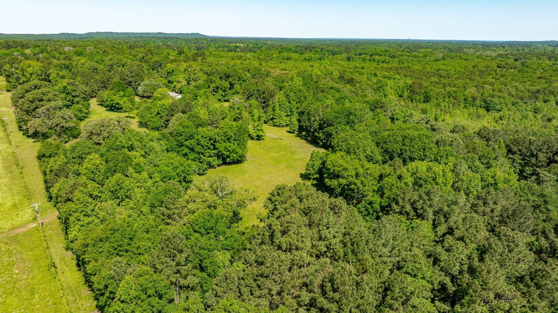 202.83 acres in Upshur County - photo 20