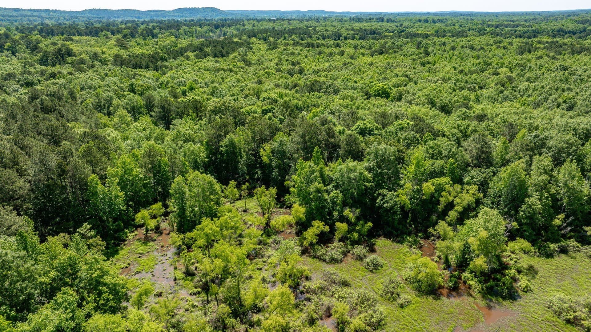 202.83 acres in Upshur County - photo 31