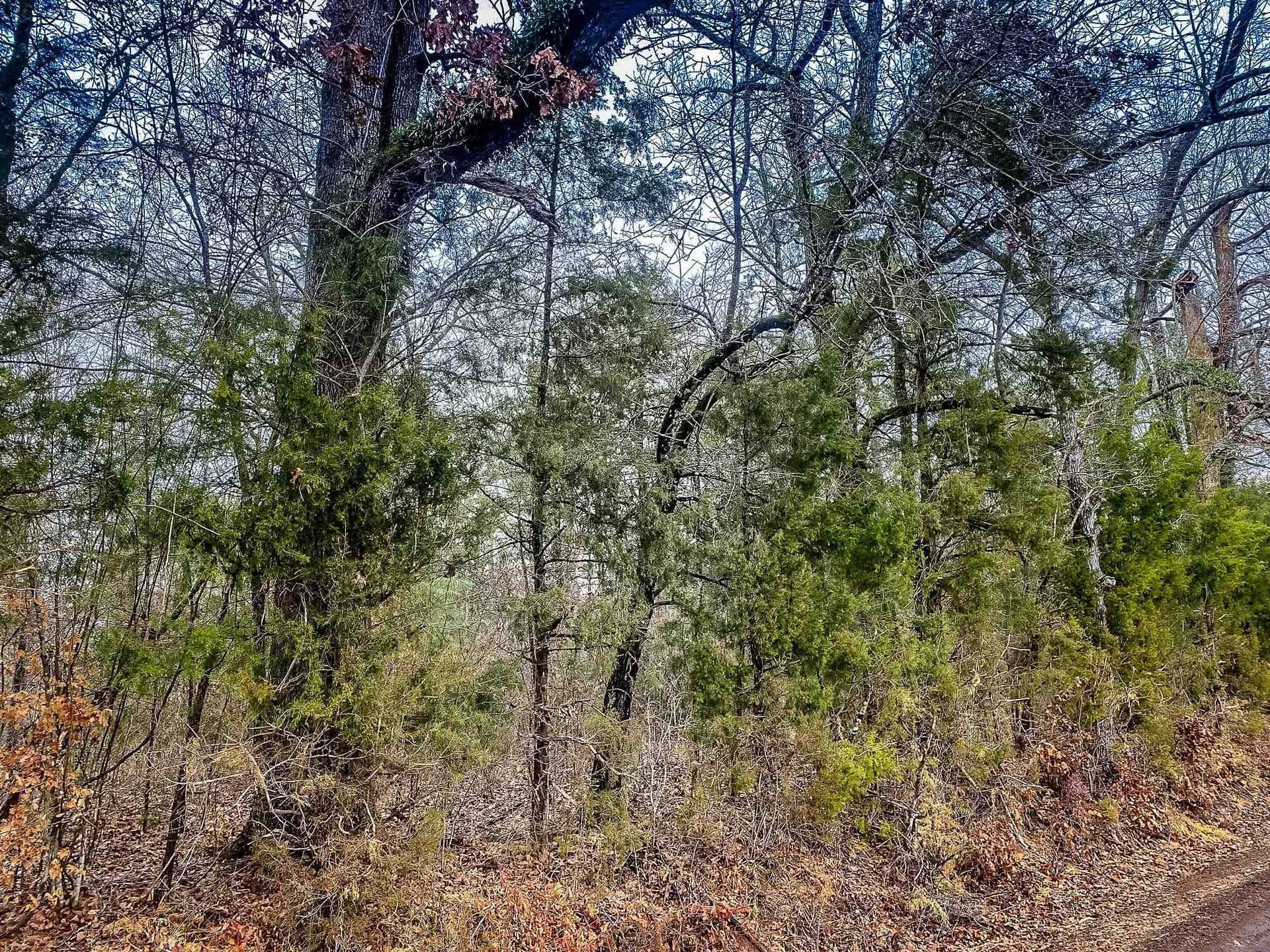 11 acres in Harrison County - photo 10