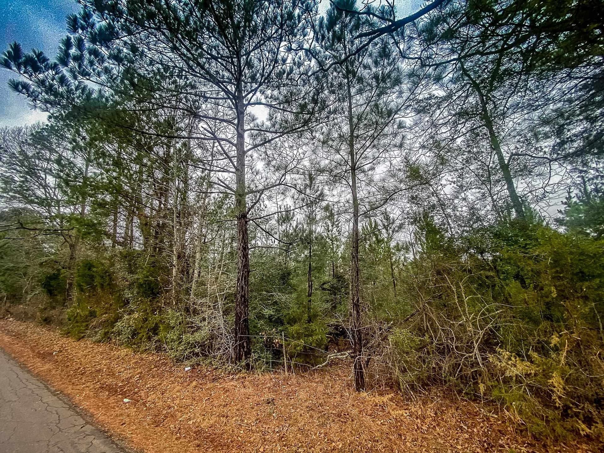 11 acres in Harrison County - photo 9