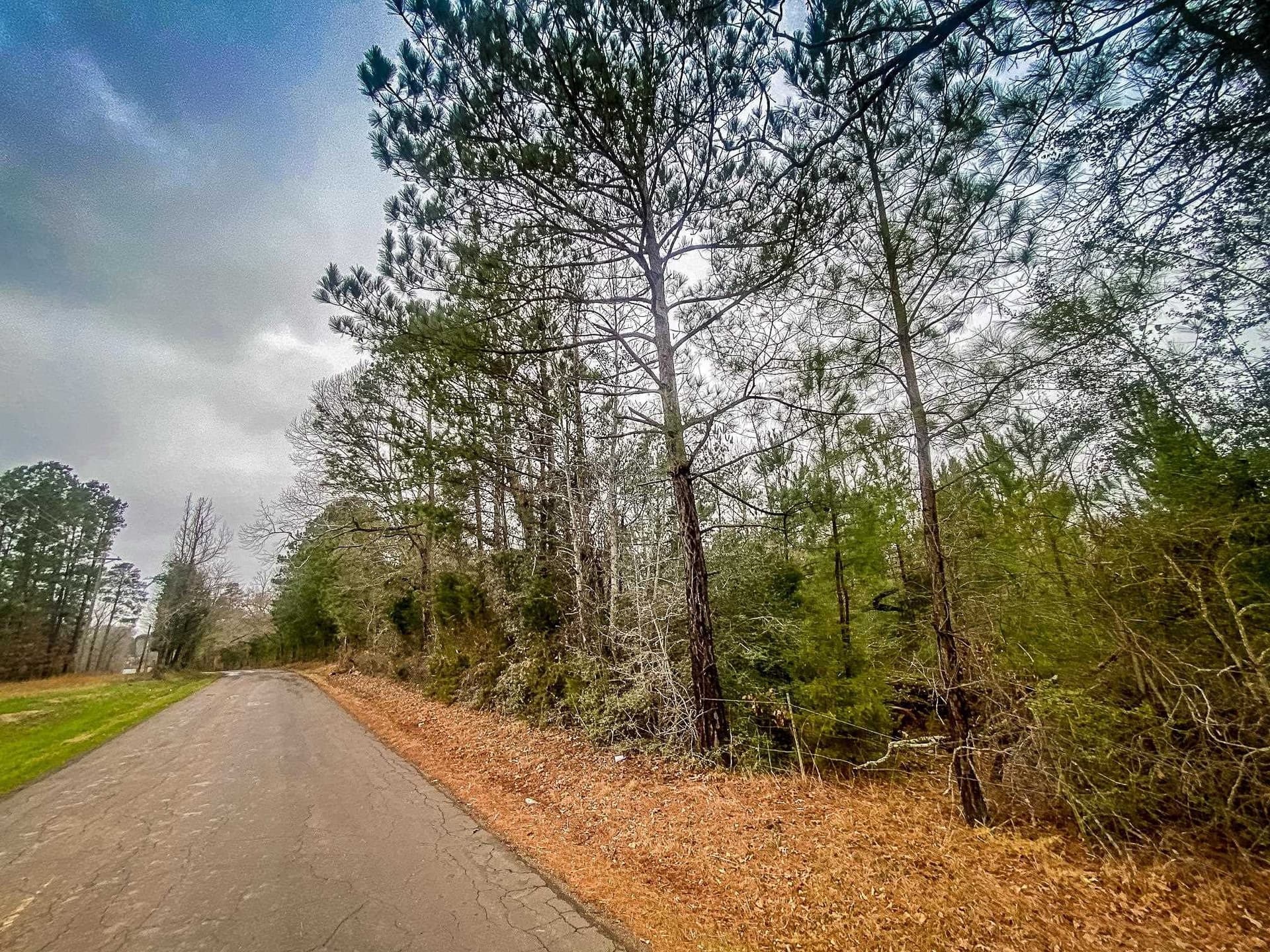 11 acres in Harrison County - photo 7