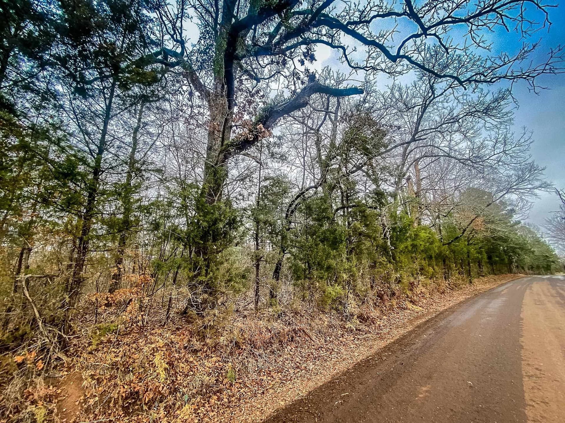 11 acres in Harrison County - photo 11