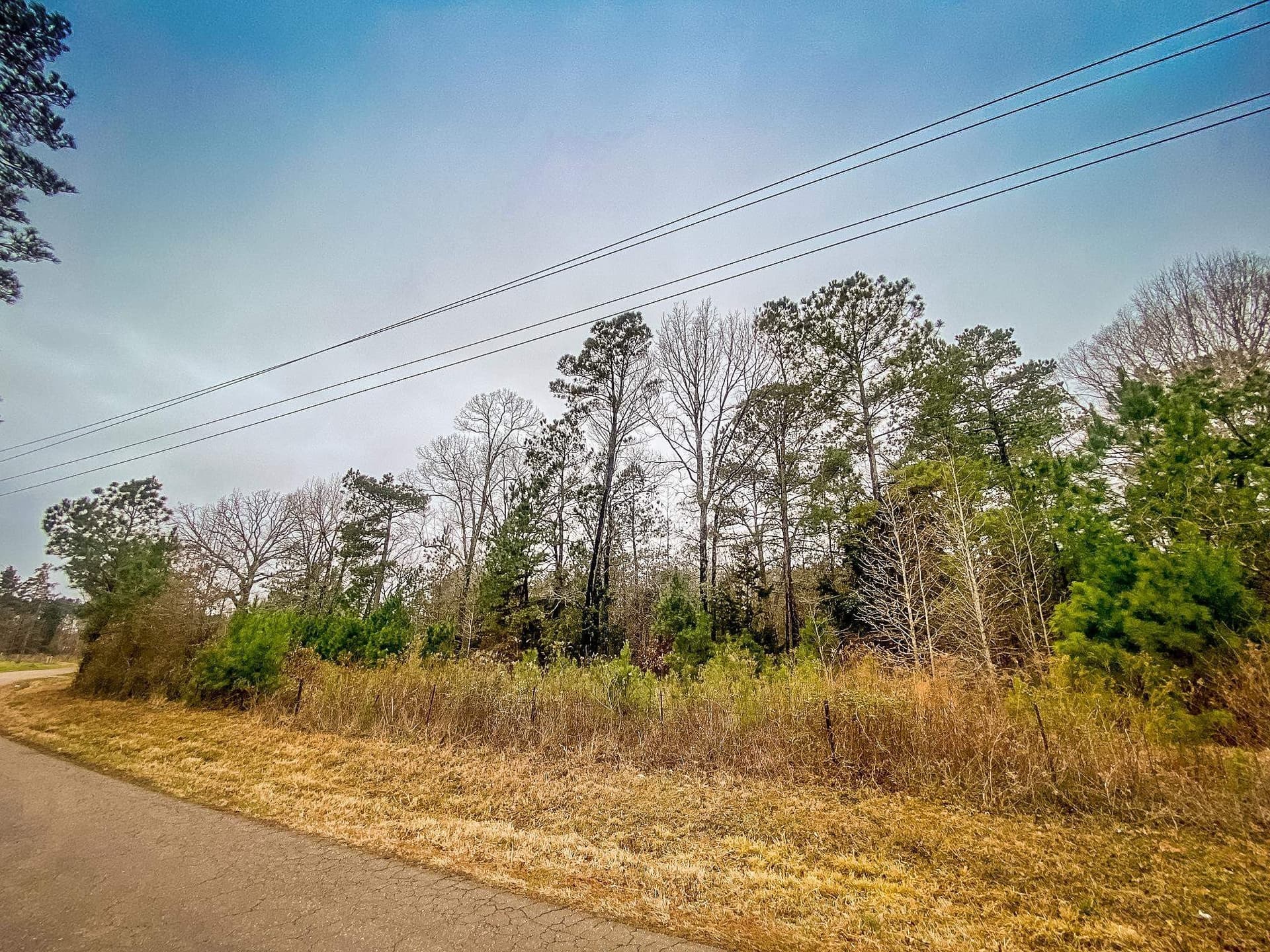 11 acres in Harrison County gallery image 2