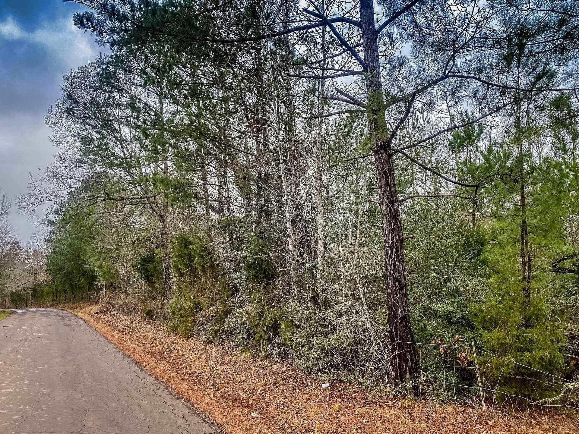 11 acres in Harrison County - photo 8