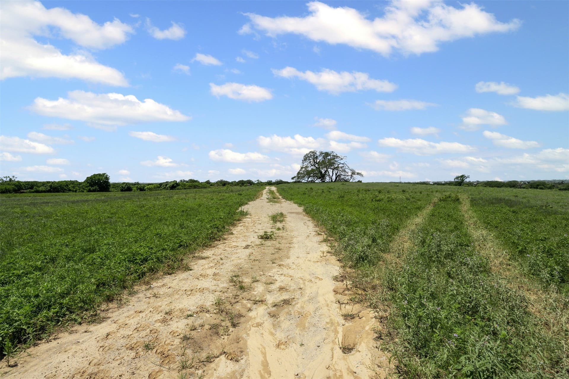 109.93 acres in Parker County - photo 33