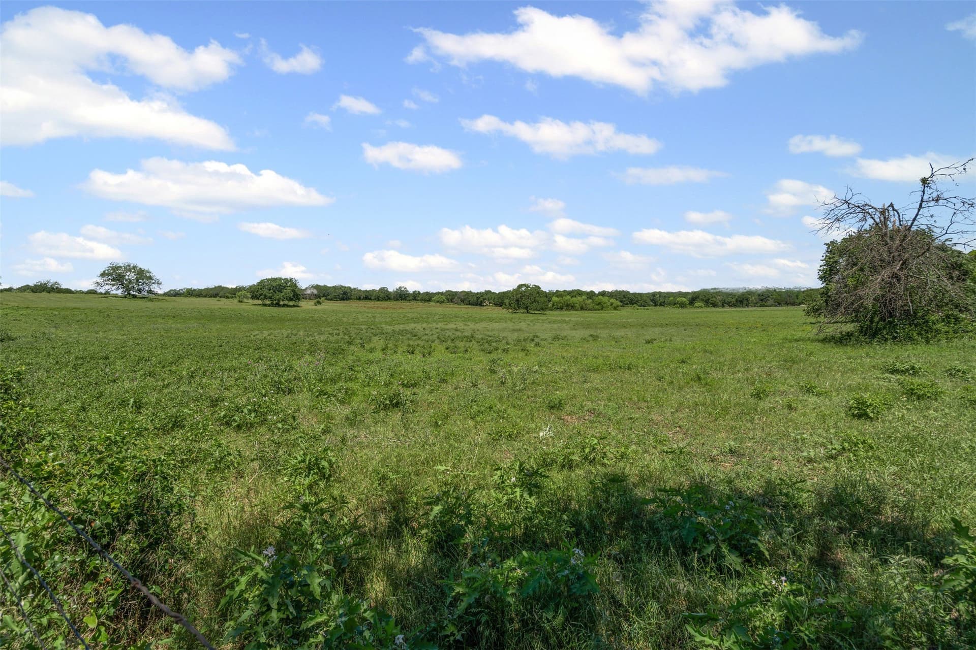 109.93 acres in Parker County - photo 36
