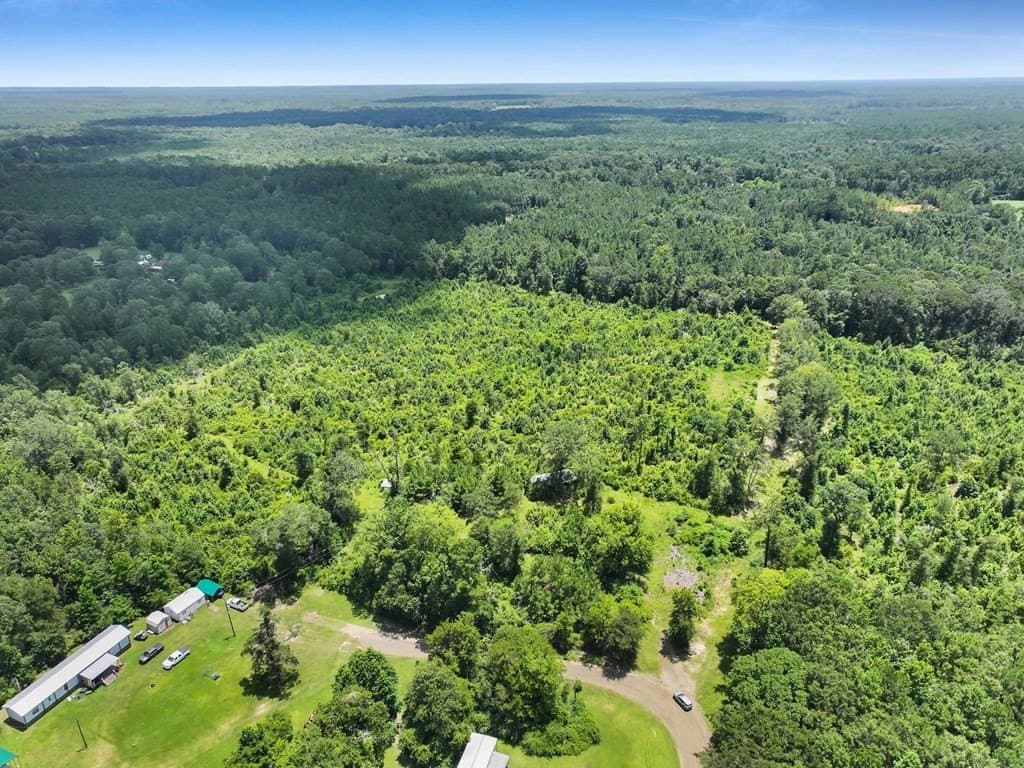 16.67 acres in Texas County gallery image 4