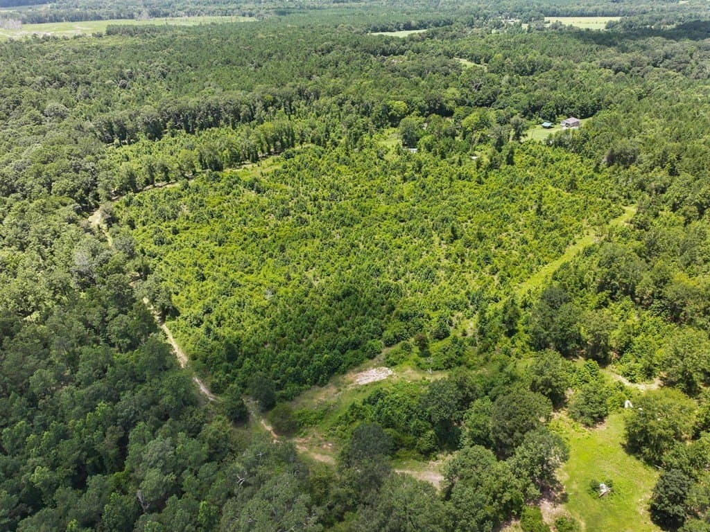 16.67 acres in Texas County gallery image 3