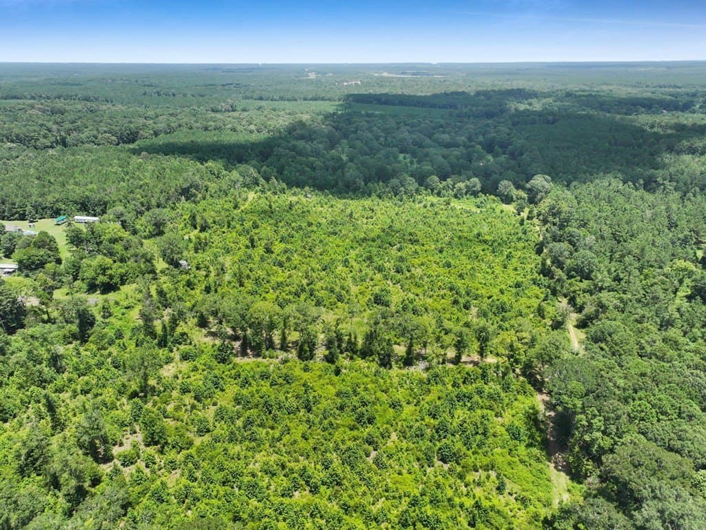 16.67 acres in Texas County featured view