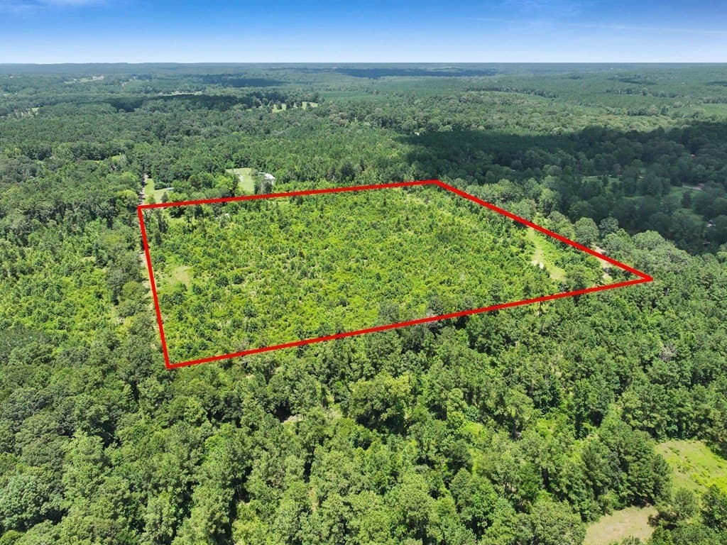 16.67 acres in Texas County gallery image 2