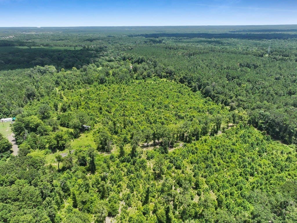 16.67 acres in Texas County - photo 8