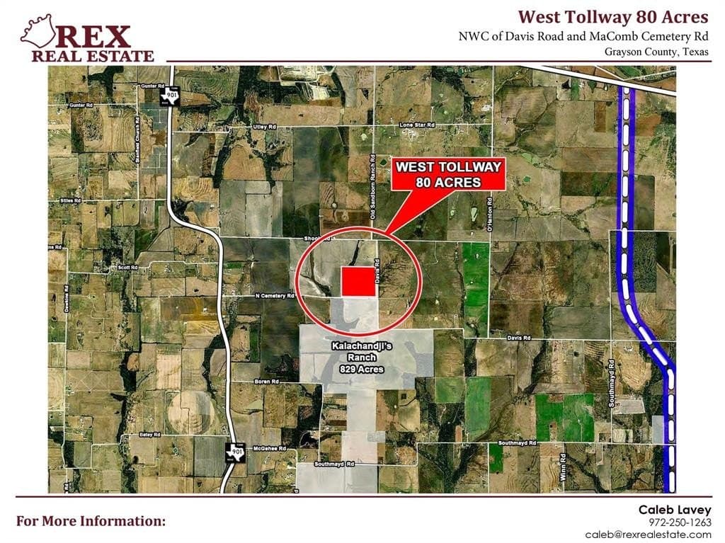 80.91 acres in Grayson County gallery image 3