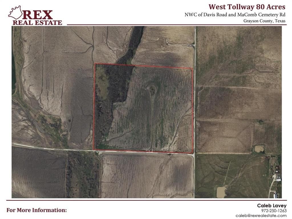 80.91 acres in Grayson County gallery image 4