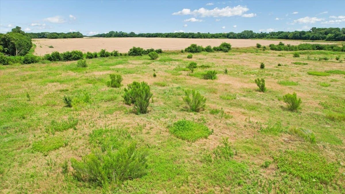 6 acres in Grayson County - photo 20