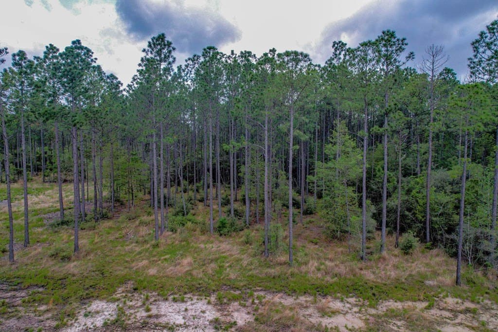0.55 acres in Texas County gallery image 3