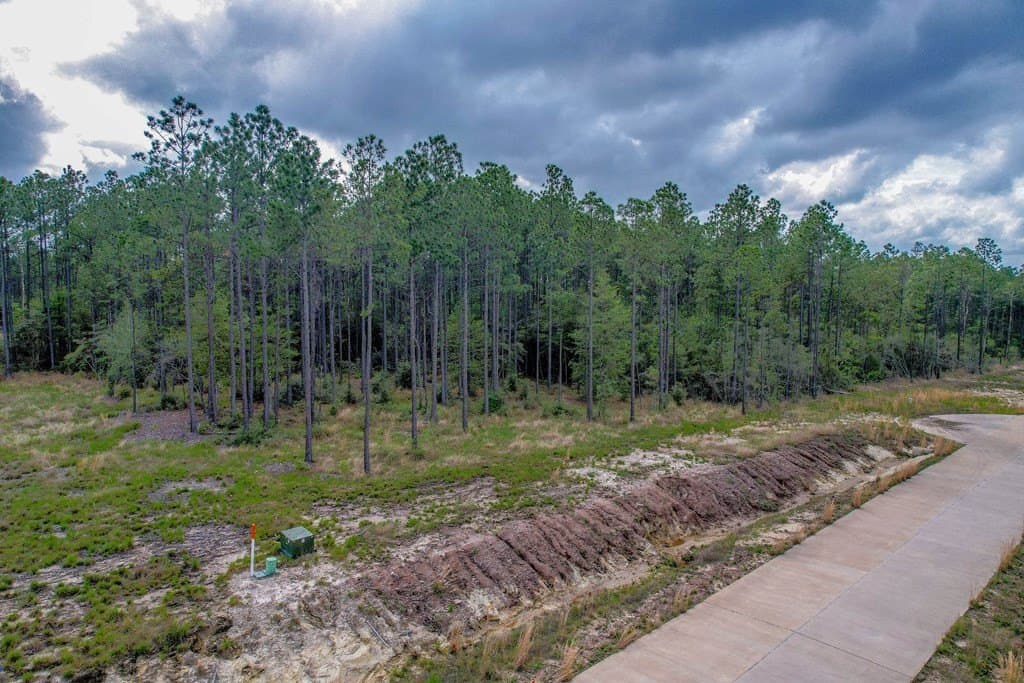 0.55 acres in Texas County gallery image 4