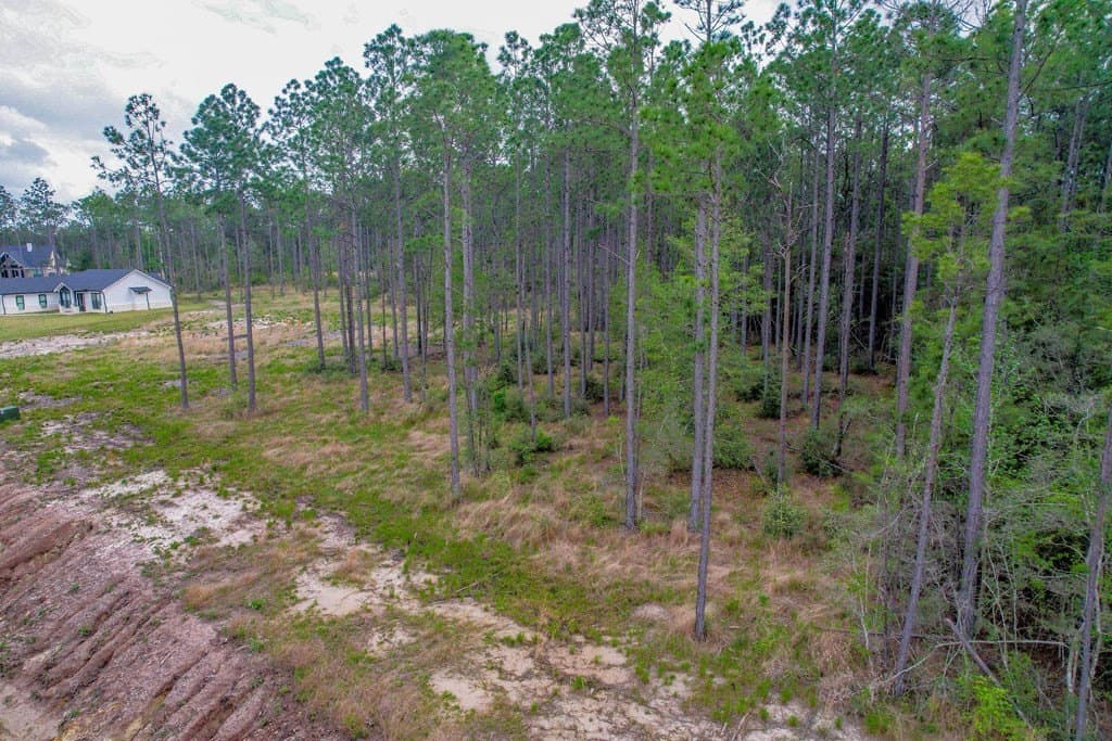 0.55 acres in Texas County gallery image 2
