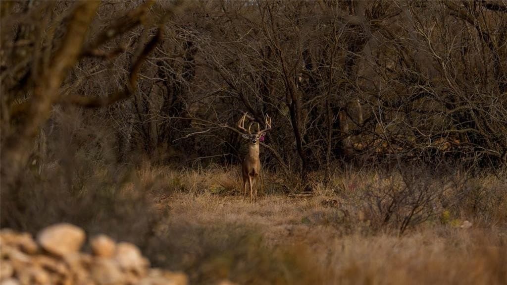 1,280 acres in Concho County