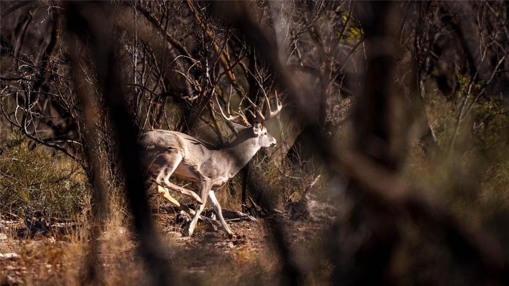 1,280 acres in Concho County featured view