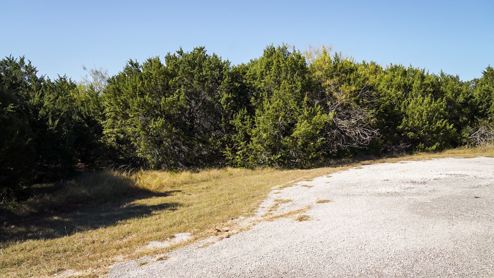 0.34 acres in Hill County gallery image 4