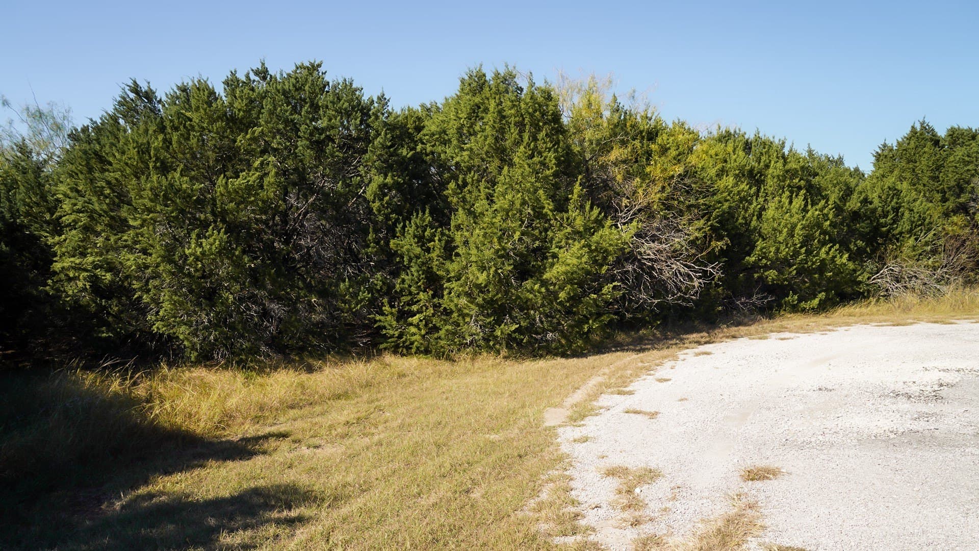0.34 acres in Hill County gallery image 2