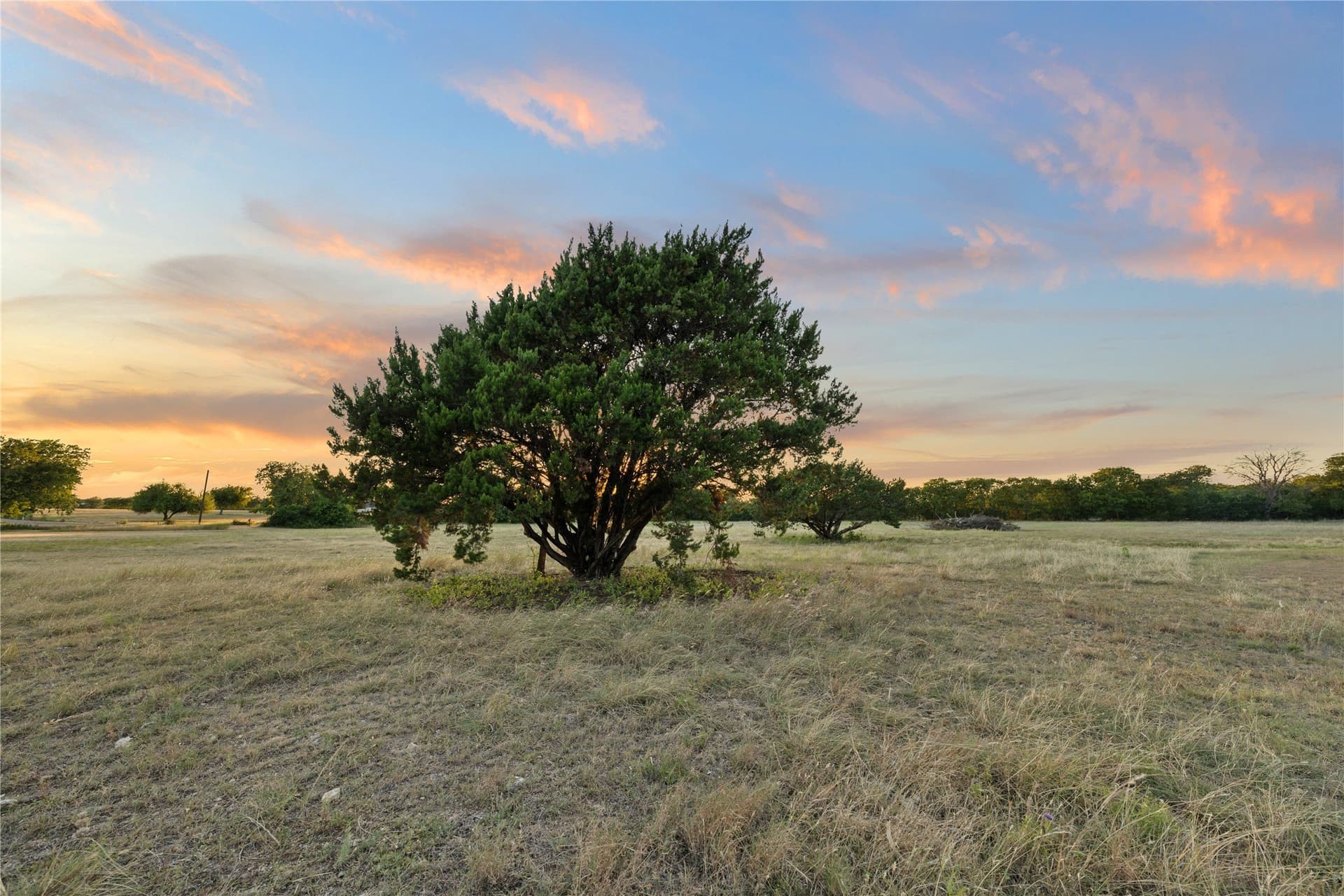 21.2 acres in McLennan County - photo 4